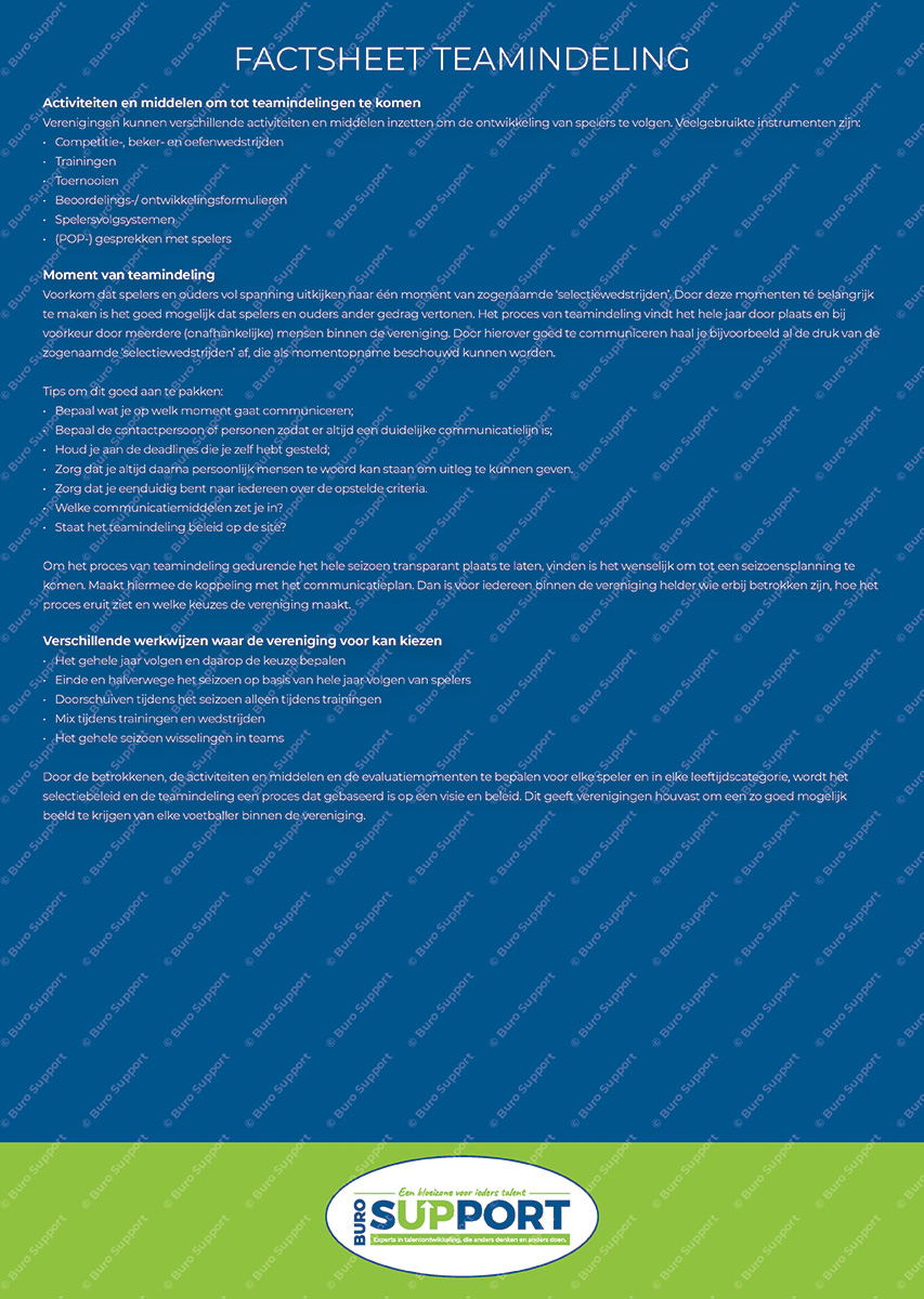 Teamindeling - Factsheet - Afbeelding 2
